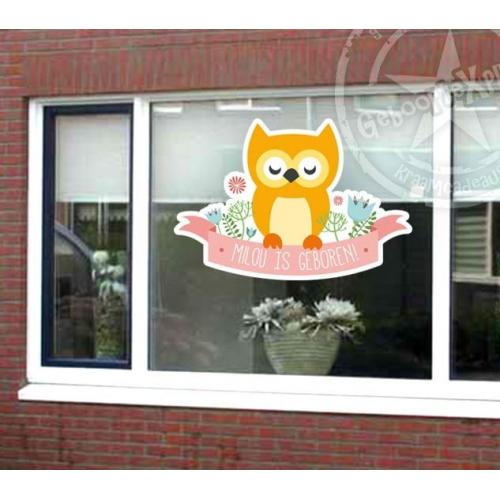 Raamsticker geboorte met uiltje voor een meisje.