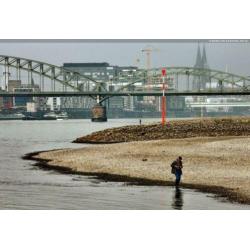 Schep Strand zeef RVS/Carbon115 cm. 920 Gr. Metaaldetector
