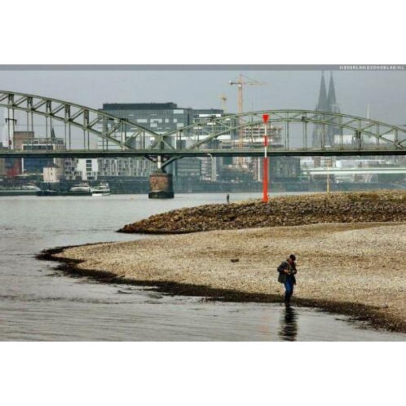 Schep Strand zeef RVS/Carbon115 cm. 920 Gr. Metaaldetector