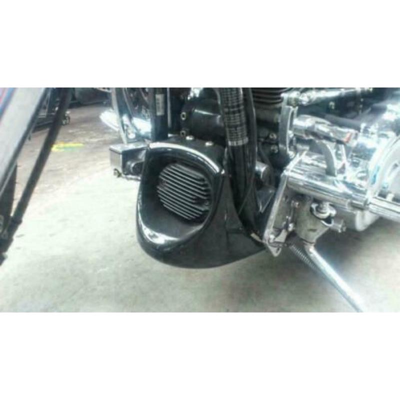 Give your HARLEY a bad look !