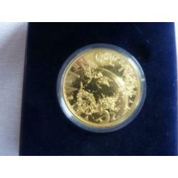 Vincent vergulde 5 euro 2003 herdenkingsmunt doosje capsule