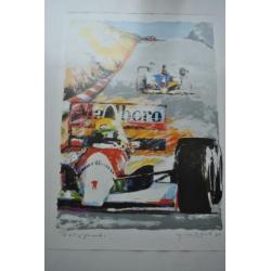 The art of formule 1 (ingelijst)