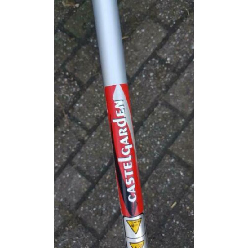 Bosmaaier/ Bermmaaier