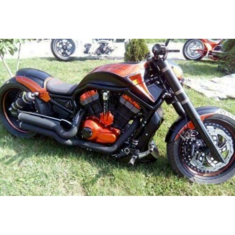 Give your HARLEY a bad look !
