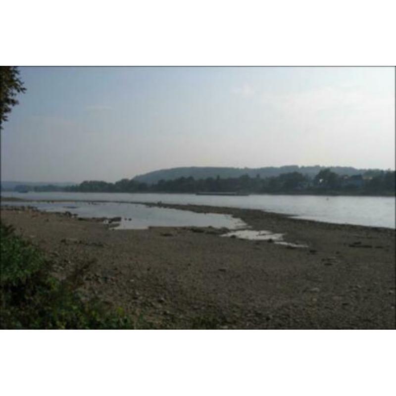 Schep Strand zeef RVS/Carbon115 cm. 920 Gr. Metaaldetector