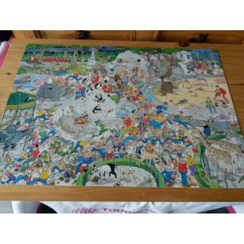 Jan van Haalsteren puzzel