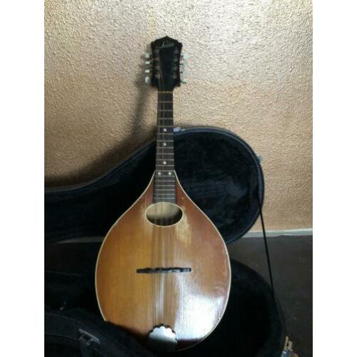 Levin Mandoline jaren 50