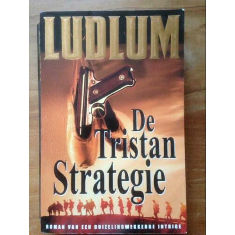 Ludlum 9x