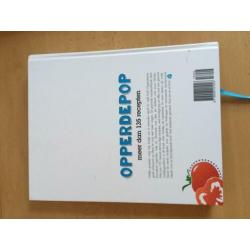 Opperdepop kookboek en hapjes invriesbak