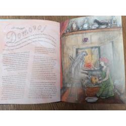 Het boek der elfen