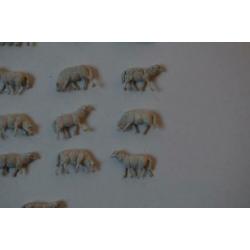 Kudde schapen, 17 stuks, Preiser 14161, HO.