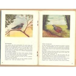 Reclame boekje, Kon.P.Sluis Tropische Zaadetende vogels dl.2