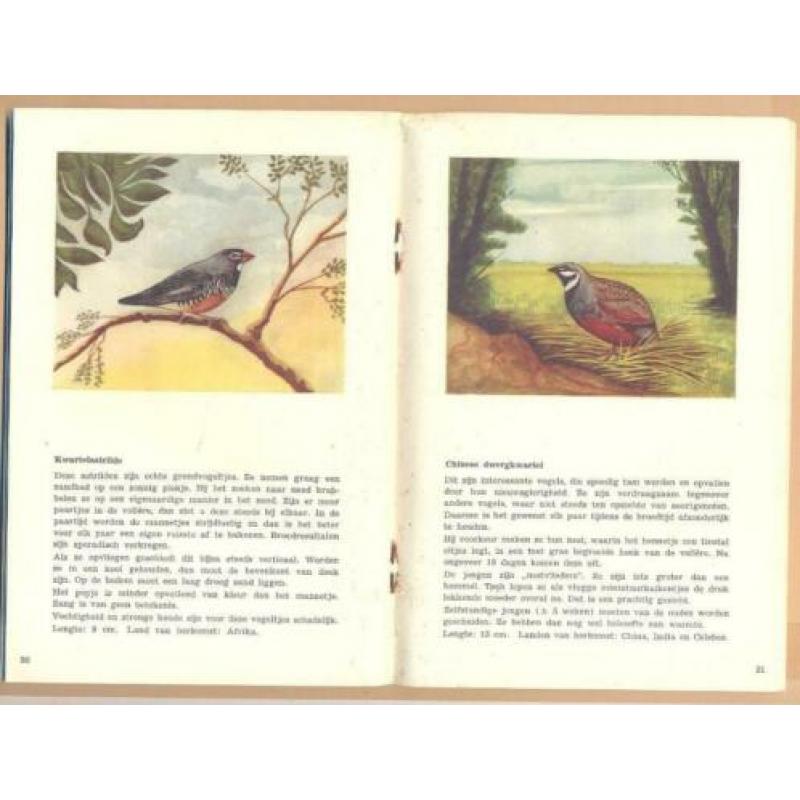 Reclame boekje, Kon.P.Sluis Tropische Zaadetende vogels dl.2