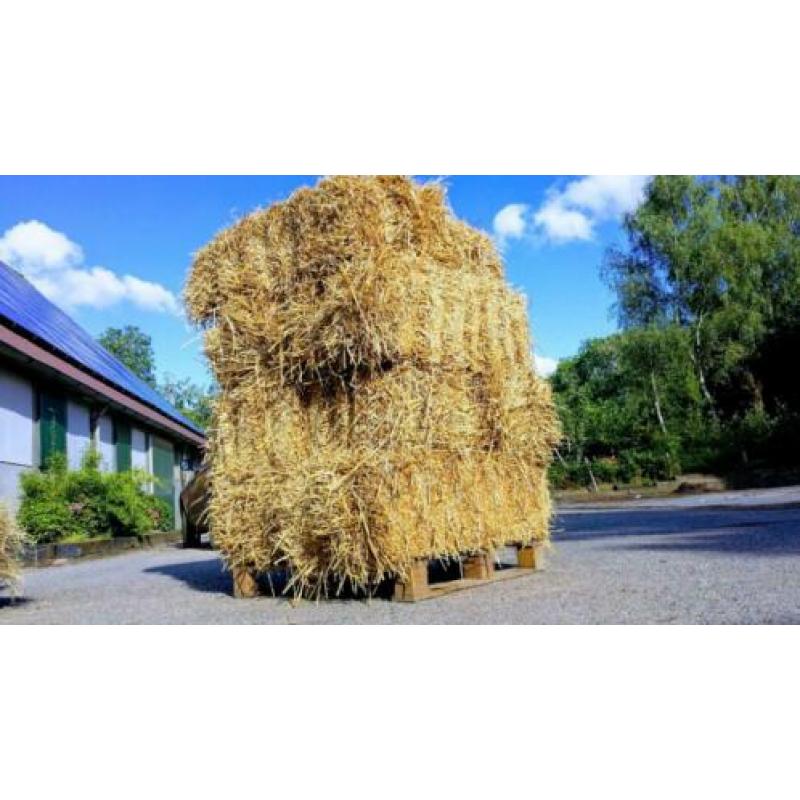 STRO balen - lage prijs!