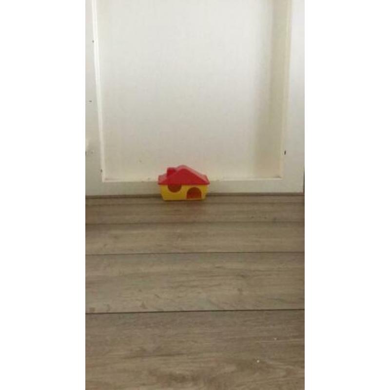 Hamster hok + hamster bal