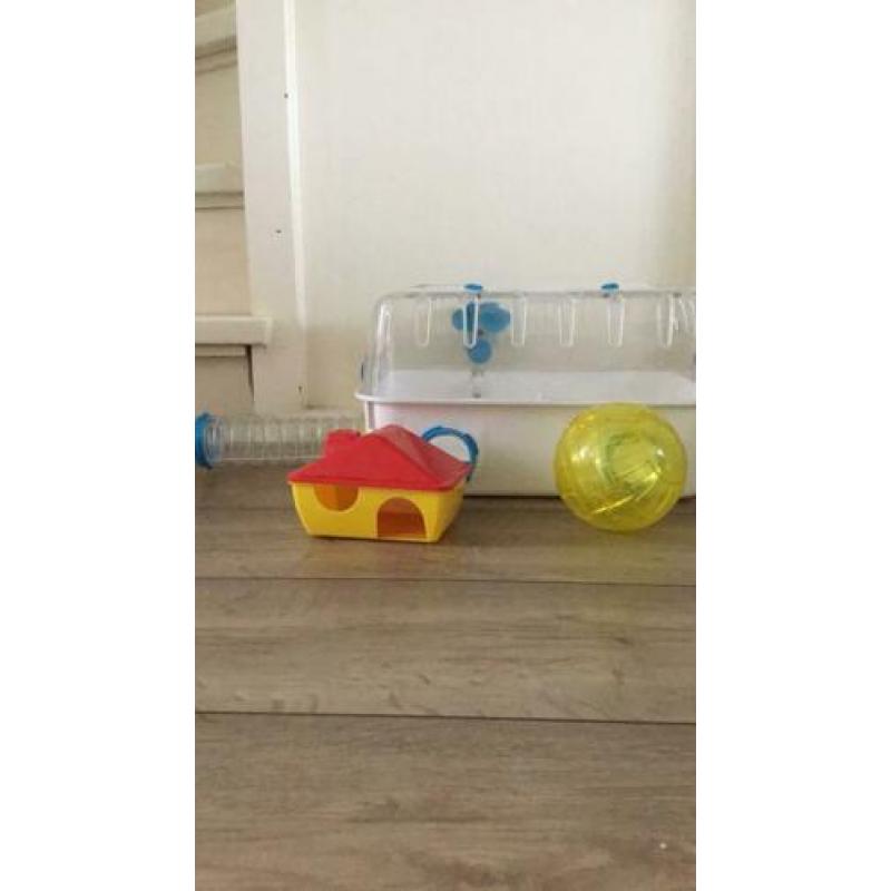 Hamster hok + hamster bal
