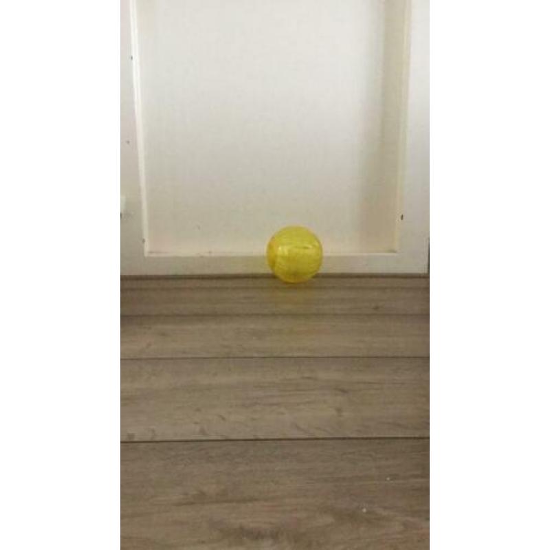 Hamster hok + hamster bal