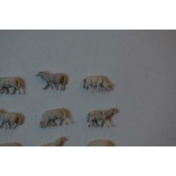 Kudde schapen, 17 stuks, Preiser 14161, HO.
