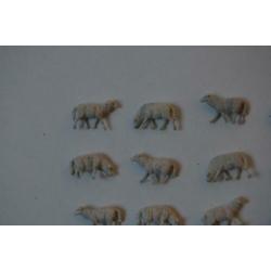 Kudde schapen, 17 stuks, Preiser 14161, HO.