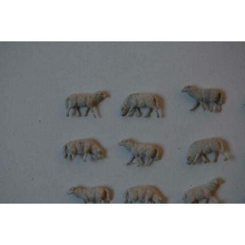 Kudde schapen, 17 stuks, Preiser 14161, HO.