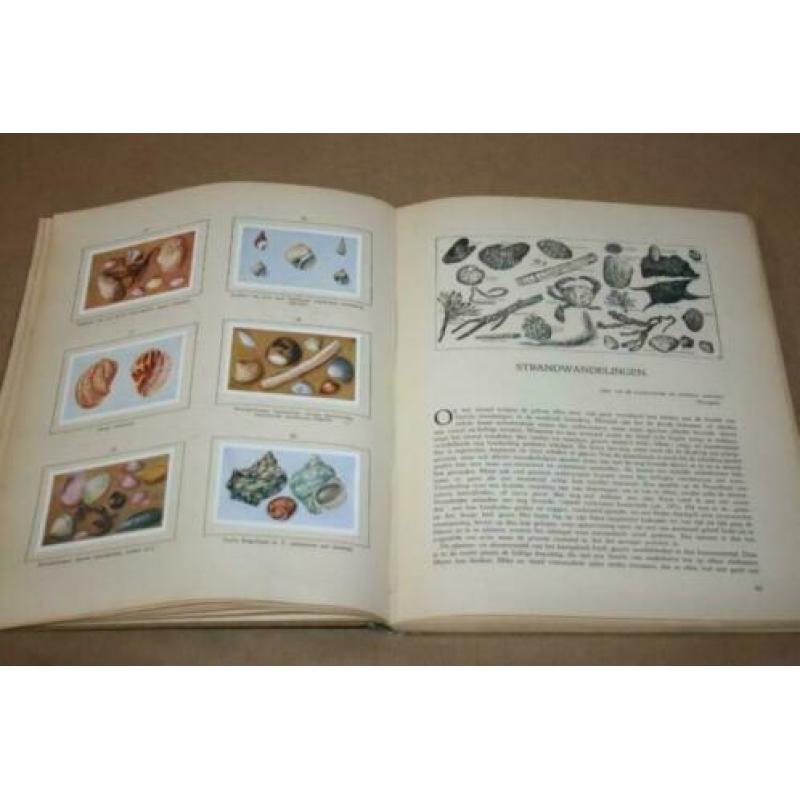 Plaatjesalbum - Het leven der zee - 1929