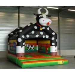 Feest springkussen met dak