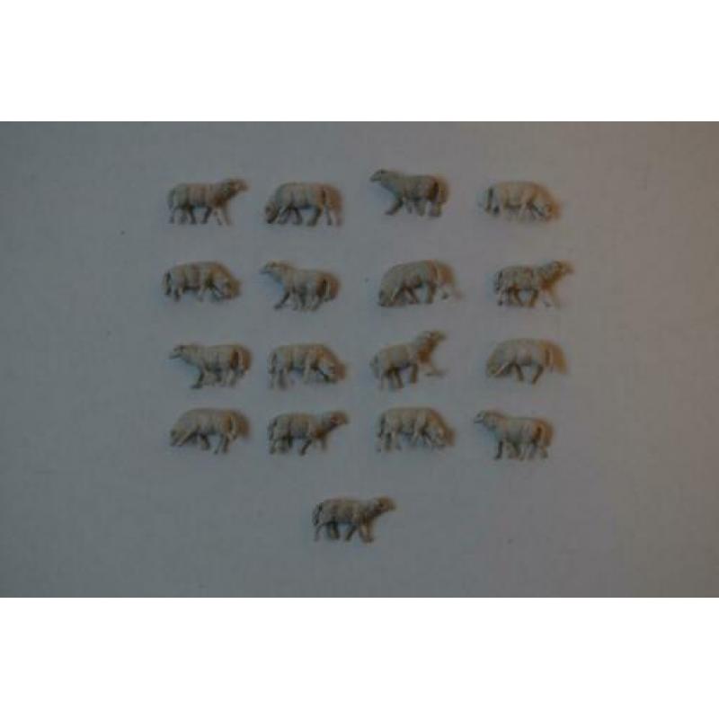 Kudde schapen, 17 stuks, Preiser 14161, HO.