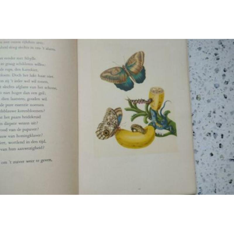 Bertus Aafjes, Maria Sibylla Merian