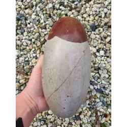 Prachtige shiva lingam 4,51 kg,