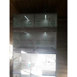 Te koop 4 losse gehu kooien