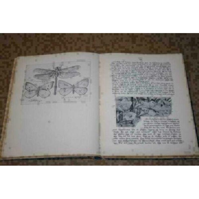 Boeiende stof - Lessen in natuurkennis - 1912 !!