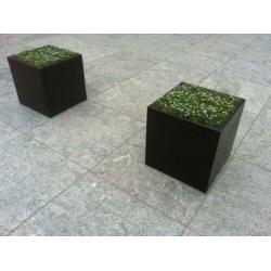 TOPAANBIEDING terrastegels Spotted Bluestone Riven 50x50 cm