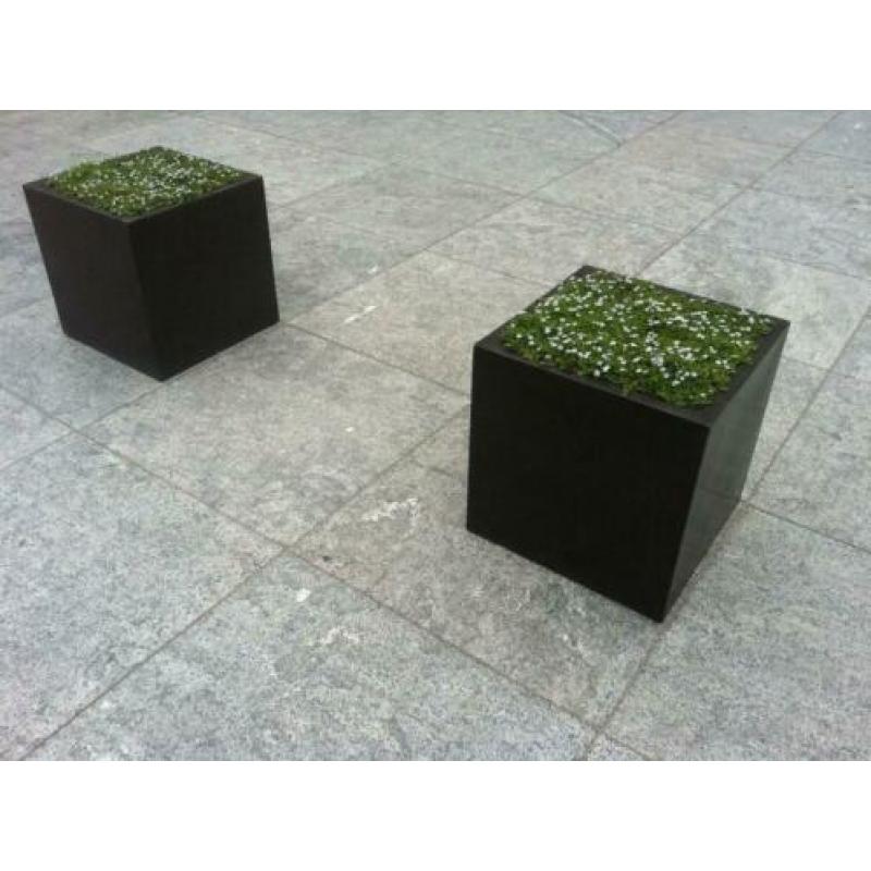 TOPAANBIEDING terrastegels Spotted Bluestone Riven 50x50 cm