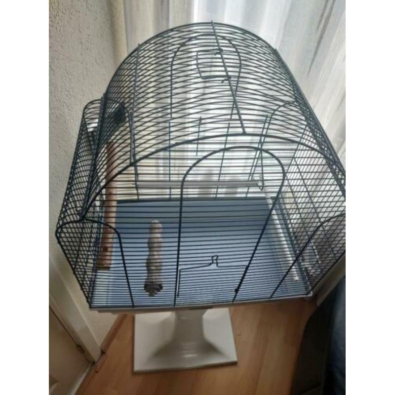 Vogelkooi inclusief voer