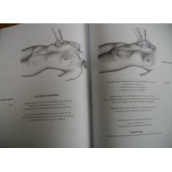 Erotische massage - Kenneth Ray Stubbs