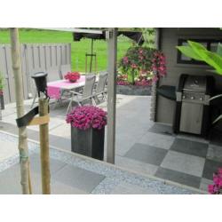 TOPAANBIEDING terrastegels Spotted Bluestone Riven 50x50 cm