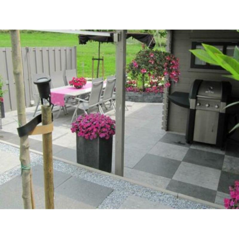 TOPAANBIEDING terrastegels Spotted Bluestone Riven 50x50 cm