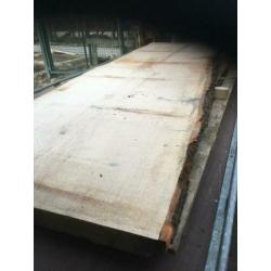 tafelbladen eiken hout boomstam koop planken balken