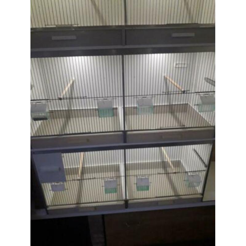 Te koop 4 losse gehu kooien
