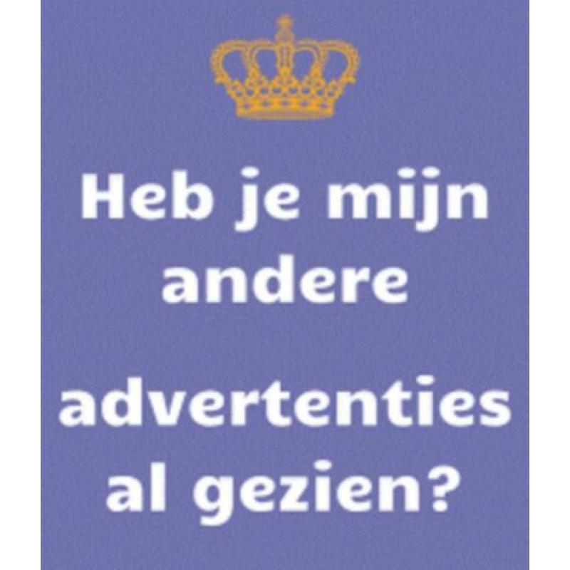twee shirtjes van Ralph Lauren maat 4 ( = 104 ) korte mouw