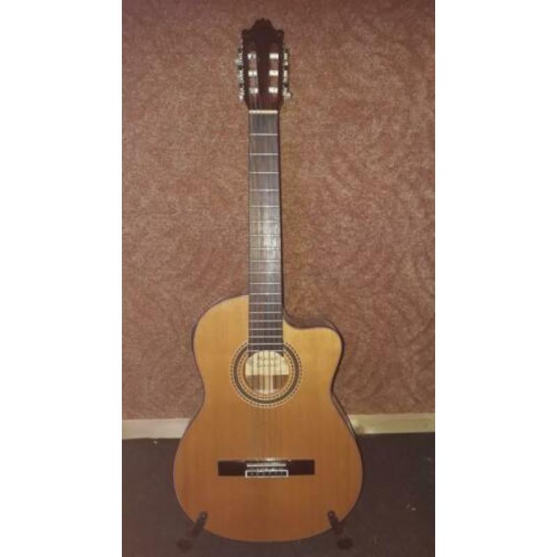 Gitaar 3/4