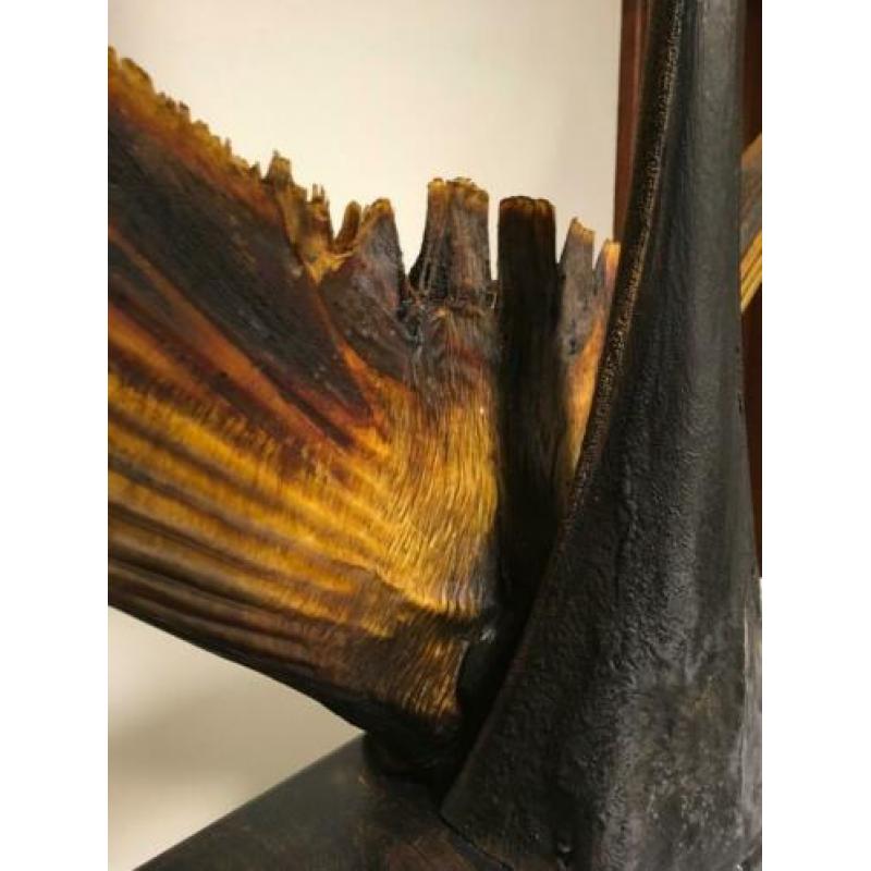 Opgezette delen zwaardvis, deco herenkamer