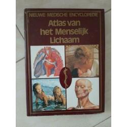 Atlas menselijk lichaam, W-Atlas 2000, Hoe werkt dat, Tuin