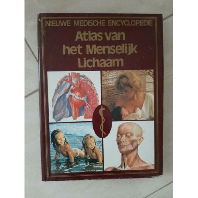 Atlas menselijk lichaam, W-Atlas 2000, Hoe werkt dat, Tuin