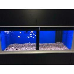 Aquariumstellingen