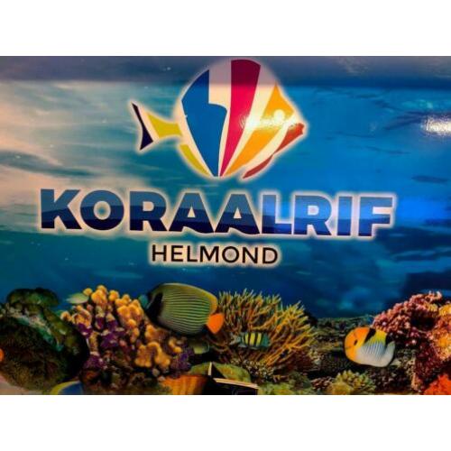 Zoutwater aquarium