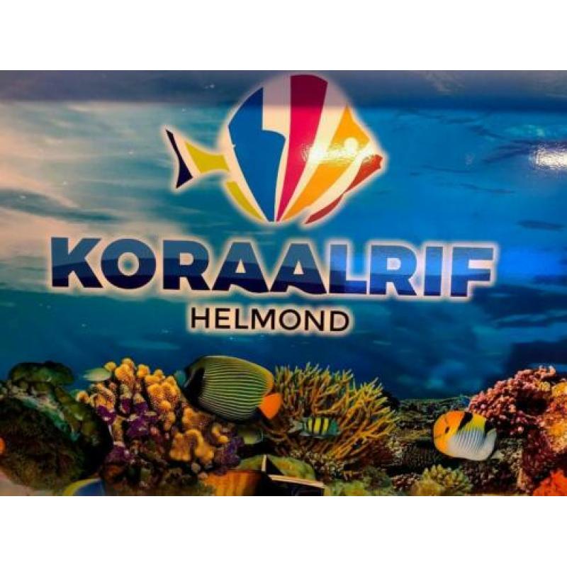 Zoutwater aquarium