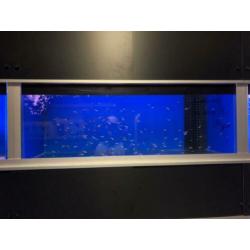 Aquariumstellingen