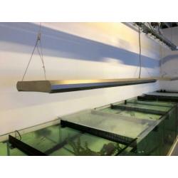 Zoutwater aquarium