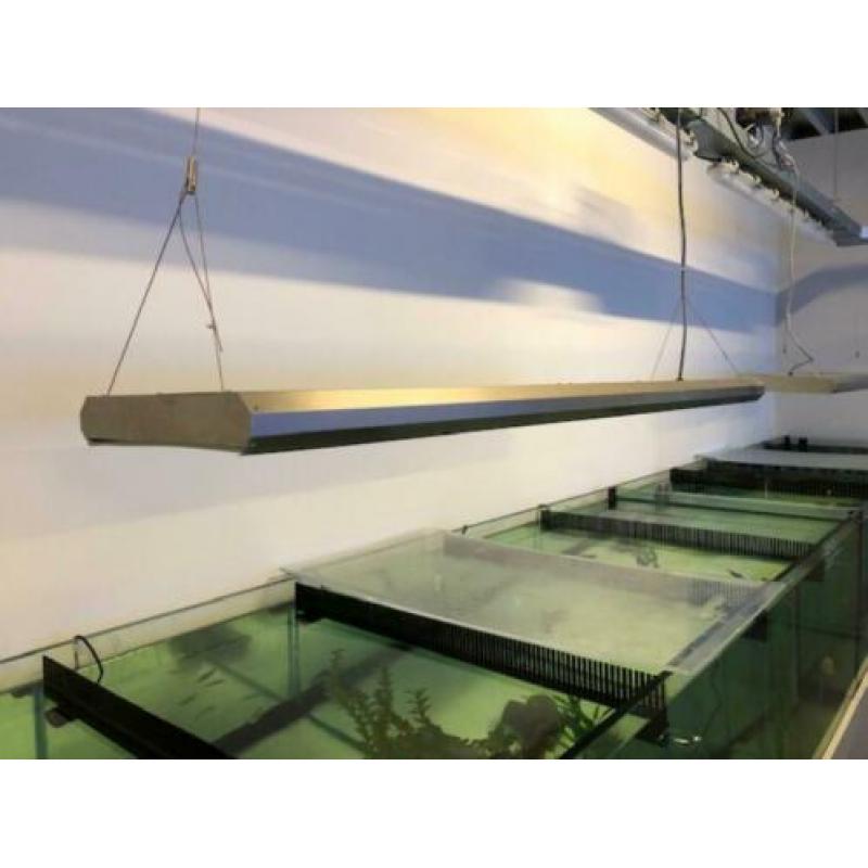 Zoutwater aquarium